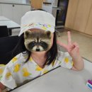 꾸러기유치원 | 창원단감테마공원 체험 예약 방법 및 체험(단감 탐험대) 후기