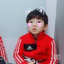 동원키즈 태권도 이미지