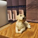 21그램 반려동물 장례식장 천안아산점 이미지