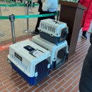 해맑은 수산 | 카 서해케이블카 제부도 케이블카 전곡항케이블카 서해랑 내돈내산 n번째 탑승후기 크리스탈케빈 탑승후기