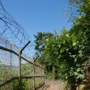 염하강철책길 이미지