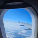 느량 | 운이 좋았던 제주여행