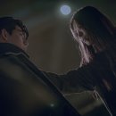 태상상사