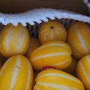 칠봉농장 이미지