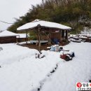 [성주촌집임대] 대가면 겨울에 눈오면 포근한 시골집 by 성주 믿음부동산 이미지