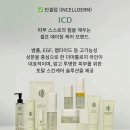 인셀덤top | 삼성동 피부관리실보다 효과 좋은 인셀덤화장품
