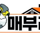 성산  매부리 이미지