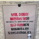대종로 | 대전 성심당 케익부띠끄 주말 오픈런 후기 주차부터 롤케이크, 케이크까지 총정리