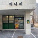 개나리 애견유치원 이미지