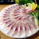 노량해전노량진횟집