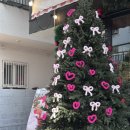 미자애견 | 부산 카페 [모아미뇽] 남포동 근처 브런치 맛집|애견 가능