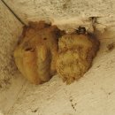 모래벌농장 이미지