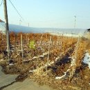 노곡리농장 이미지