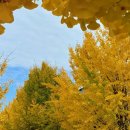 경상국립대학교박물관 이미지