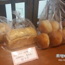 빈스601 이미지