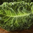 명성푸드 이미지