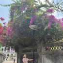 모텔퍼시픽 | 중국 샤먼여행 팬퍼시픽 샤먼 체크인 후기