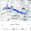 [도쿄여행기 Day3] 그거 알아? 일본 새벽에선 택시 공격적으로 잡아야 해.