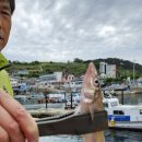 바다에반하다 민박 이미지