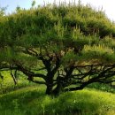 반송초등 이미지