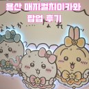 [후기]용산 매지컬치이카와팝업 : 대기지옥과 미친 품절 그렇지만 귀엽다 + 약간의 토벌 팁들