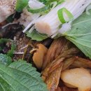 조마루 감자탕 이미지