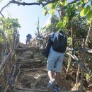 메스머라이즈 (Mesmerize) 이미지