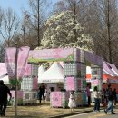 서호중학교 | 2026 경기 상상해 봄 페스타 방문 후기 🌸 기본 정보 및 행사장 지도