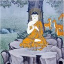 그곳에가고싶다 이미지