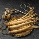 인삼 효능 부작용 먹는 방법 인삼차 효능 이미지