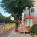 허당로-1 네이버블로그