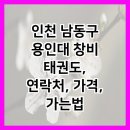 용인대 창비 태권도 이미지