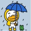 유어스치과병원 이미지