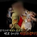 백호농장 이미지