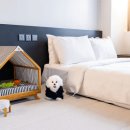 펫 프렌들리 호텔 이미지