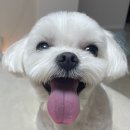 살롱아르르 이미지