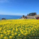 바다노을 - 남해군 남면로 1156-12 | 바다노을