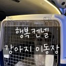 행복켄넬 | [내돈내산] 행복켄넬 400 강아지 이동장 구매 후기