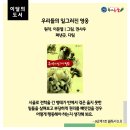 디베이트논술교습소