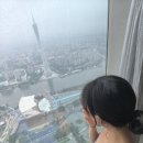 포시즌스호텔 | 중국 광저우 칸톤타워 뷰 94층 포시즌스 호텔 룸 후기 추천