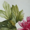 [주말]보테니컬 아트 이미지