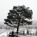 용인대학교 이미지