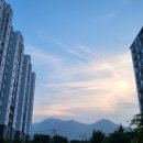 [삼천포] 술이 술술 들어가는 활어회 . 산오징어 전문점 | 오징어 세트메뉴 추천 | 부성