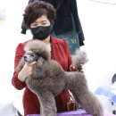 아리랑밸리켄넬 이미지