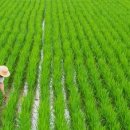 공간PC방 이미지