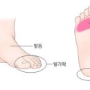 올바른필라테스 네이버블로그