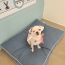 포도미용실 - 양평군 | 포도미용실