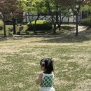 소네트다이어리