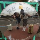 지영목장 | 제주에서 재주부리기