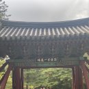 다원발전소 | 거창 감악산 아스타국화 보고 갈만한곳 합천 해인사 경남 1박2일 여행 당일치기 코스